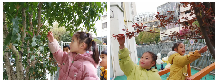 84cb5972acb11dbdb2bcefe112281ee.png 84cb5972acb11dbdb2bcefe112281ee.png