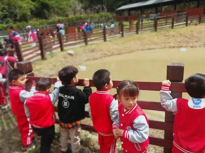 微信圖片_20220517101811.gif 微信圖片_20220517101811.gif