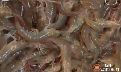 微信圖片_20220624171221.gif 微信圖片_20220624171221.gif