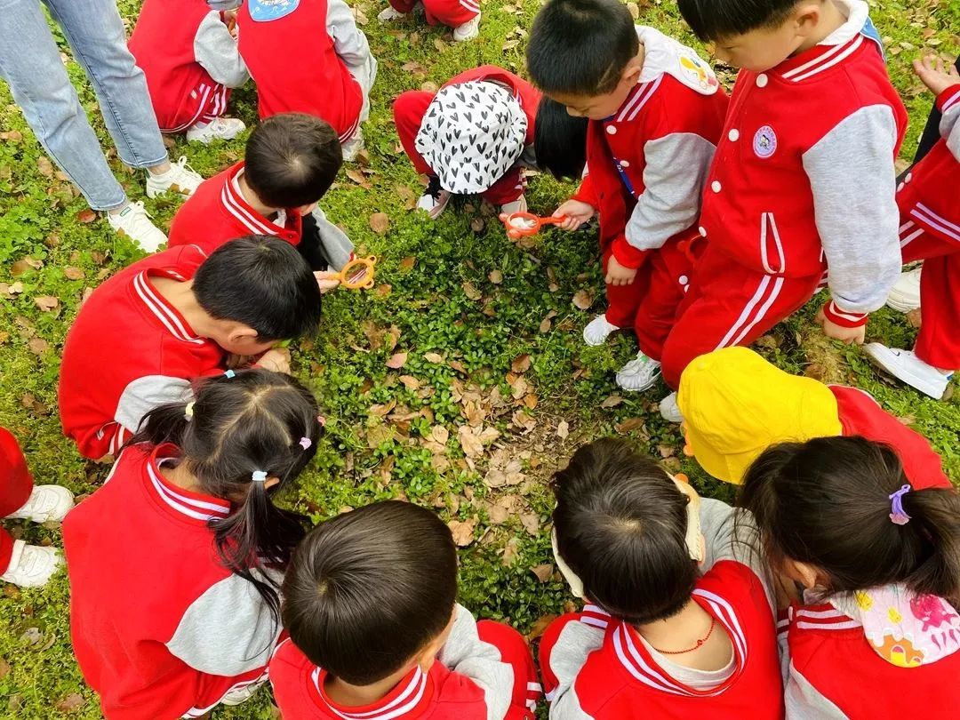 d6ae0d92523cd269eea2b83d75cad470.jpg d6ae0d92523cd269eea2b83d75cad470.jpg